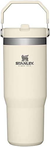 STANLEY IceFlow Stainless Steel Tumbler with Straw, Vacuum Insulated Water Bottle for Home, Office or Car, Reusable Cup with Straw Leak Resistant Flip