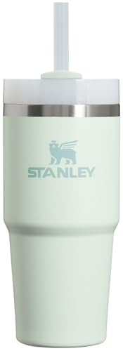 Stanley Quencher H2.0 FlowState Stainless Steel Vacuum Insulated Tumbler with Lid and Straw for Water, Iced Tea or Coffee, Smoothie and More, Lilac, 30oz