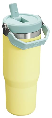 STANLEY IceFlow Stainless Steel Tumbler with Straw, Vacuum Insulated Water Bottle for Home, Office or Car, Reusable Cup with Straw Leak Resistant Flip