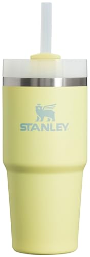 Stanley Quencher H2.0 FlowState Stainless Steel Vacuum Insulated Tumbler with Lid and Straw for Water, Iced Tea or Coffee, Smoothie and More, Lilac, 30oz