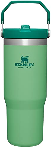 STANLEY IceFlow Stainless Steel Tumbler with Straw, Vacuum Insulated Water Bottle for Home, Office or Car, Reusable Cup with Straw Leak Resistant Flip