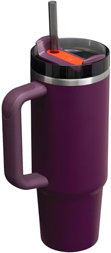 Stanley Quencher H2.0 FlowState Stainless Steel Vacuum Insulated Tumbler with Lid and Straw for Water, Iced Tea or Coffee, Smoothie and More, Lilac, 30oz