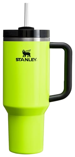 Stanley Quencher H2.0 FlowState Stainless Steel Vacuum Insulated Tumbler with Lid and Straw for Water, Iced Tea or Coffee, Smoothie and More, Lilac, 30oz