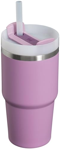 Stanley Quencher H2.0 FlowState Stainless Steel Vacuum Insulated Tumbler with Lid and Straw for Water, Iced Tea or Coffee, Smoothie and More, Lilac, 30oz