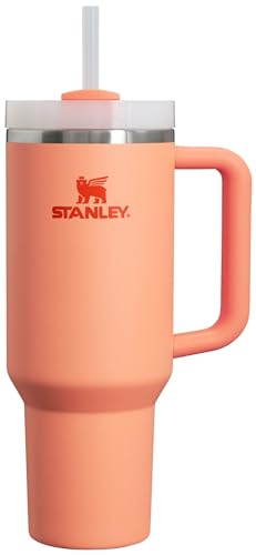 Stanley Quencher H2.0 FlowState Stainless Steel Vacuum Insulated Tumbler with Lid and Straw for Water, Iced Tea or Coffee, Smoothie and More, Lilac, 30oz