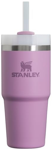 Stanley Quencher H2.0 FlowState Stainless Steel Vacuum Insulated Tumbler with Lid and Straw for Water, Iced Tea or Coffee, Smoothie and More, Lilac, 30oz