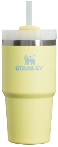 Stanley Quencher H2.0 FlowState Stainless Steel Vacuum Insulated Tumbler with Lid and Straw for Water, Iced Tea or Coffee, Smoothie and More, Lilac, 30oz