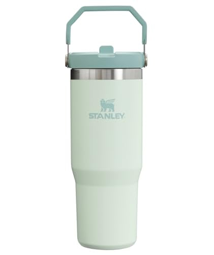 STANLEY IceFlow Stainless Steel Tumbler with Straw, Vacuum Insulated Water Bottle for Home, Office or Car, Reusable Cup with Straw Leak Resistant Flip