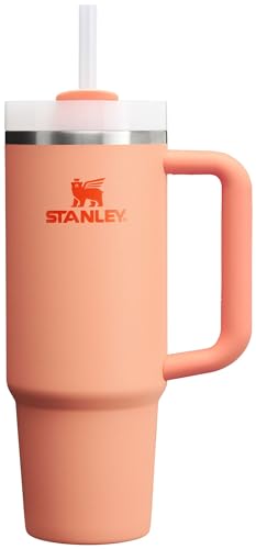 Stanley Quencher H2.0 FlowState Stainless Steel Vacuum Insulated Tumbler with Lid and Straw for Water, Iced Tea or Coffee, Smoothie and More, Lilac, 30oz