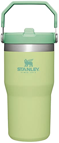 STANLEY IceFlow Stainless Steel Tumbler with Straw, Vacuum Insulated Water Bottle for Home, Office or Car, Reusable Cup with Straw Leak Resistant Flip