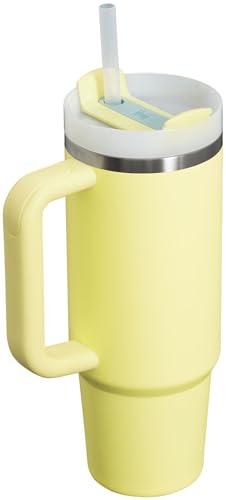 Stanley Quencher H2.0 FlowState Stainless Steel Vacuum Insulated Tumbler with Lid and Straw for Water, Iced Tea or Coffee, Smoothie and More, Lilac, 30oz