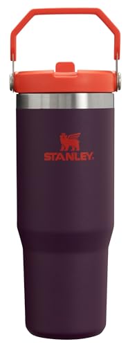 STANLEY IceFlow Stainless Steel Tumbler with Straw, Vacuum Insulated Water Bottle for Home, Office or Car, Reusable Cup with Straw Leak Resistant Flip