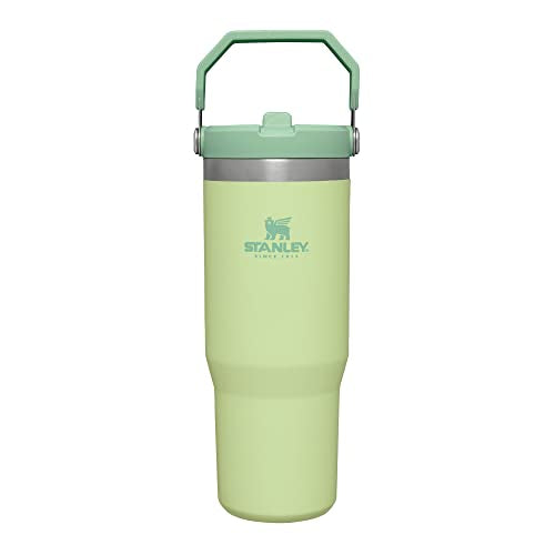 STANLEY IceFlow Stainless Steel Tumbler with Straw, Vacuum Insulated Water Bottle for Home, Office or Car, Reusable Cup with Straw Leak Resistant Flip