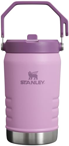 STANLEY IceFlow Stainless Steel Tumbler with Straw, Vacuum Insulated Water Bottle for Home, Office or Car, Reusable Cup with Straw Leak Resistant Flip