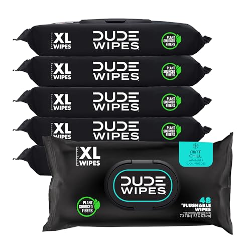 DUDE Wipes - Flushable Wipes - 6 Pack, 288 Wipes - DUMPkin Spice with Clove, Nutmeg, and Other Fall Pumpkin Spice Scents - Septic and Sewer Safe Butt Wipes For Adults, Extra Large