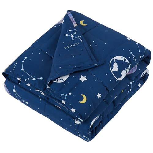 HOSUKKO Weighted Blanket - Weighted Blanket 5 lbs Blue Dinosaur Heavy Blanket - Breathable Blanket(36 * 48 inches, 5 lbs)