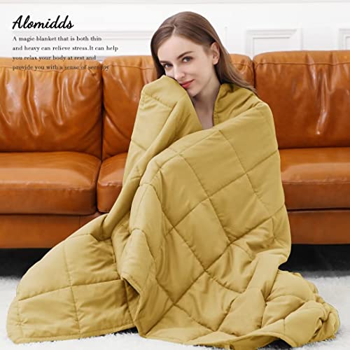 Alomidds Weighted Blanket for Adult Queen Size 20lbs 60 x 80 inches,Weighted Blankets with Soft Plush Fleece,Fluffy Thick Warm Sherpa & Cozy Flannel Heavy Blanket for Sofa Bed,Purple