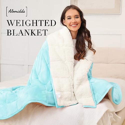 Alomidds Weighted Blanket for Adult Queen Size 20lbs 60 x 80 inches,Weighted Blankets with Soft Plush Fleece,Fluffy Thick Warm Sherpa & Cozy Flannel Heavy Blanket for Sofa Bed,Purple