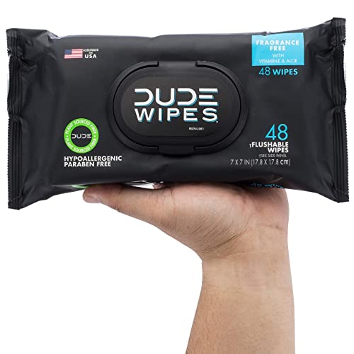 DUDE Wipes - Flushable Wipes - 6 Pack, 288 Wipes - DUMPkin Spice with Clove, Nutmeg, and Other Fall Pumpkin Spice Scents - Septic and Sewer Safe Butt Wipes For Adults, Extra Large