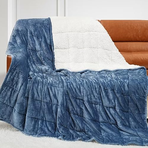 Alomidds Weighted Blanket for Adult Queen Size 20lbs 60 x 80 inches,Weighted Blankets with Soft Plush Fleece,Fluffy Thick Warm Sherpa & Cozy Flannel Heavy Blanket for Sofa Bed,Purple