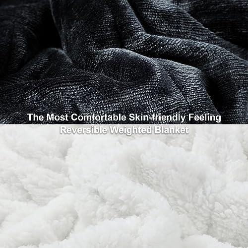 Alomidds Weighted Blanket for Adult Queen Size 20lbs 60 x 80 inches,Weighted Blankets with Soft Plush Fleece,Fluffy Thick Warm Sherpa & Cozy Flannel Heavy Blanket for Sofa Bed,Purple