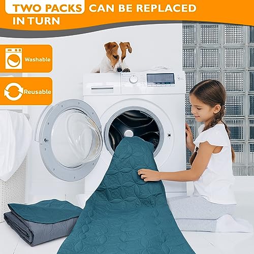 2 Packs Waterproof Dog Blankets Washable for Large Dog, Pet Couch Covers Protect Bed Sofa Furniture, Soft Reversible Dog Blankets Anti Scratches Dirty for Puppy Kids (54"×82", Light/Dark Grey)