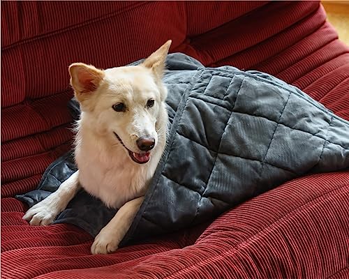 Gravity Premium Original Weighted Dog Blanket, Calming, Relaxation & Anxiety Relief for Pets, Comfortable & Cozy Blanket for Anxious Dogs, Washable, Grey, Small, 32 x 24 in, 2 lbs