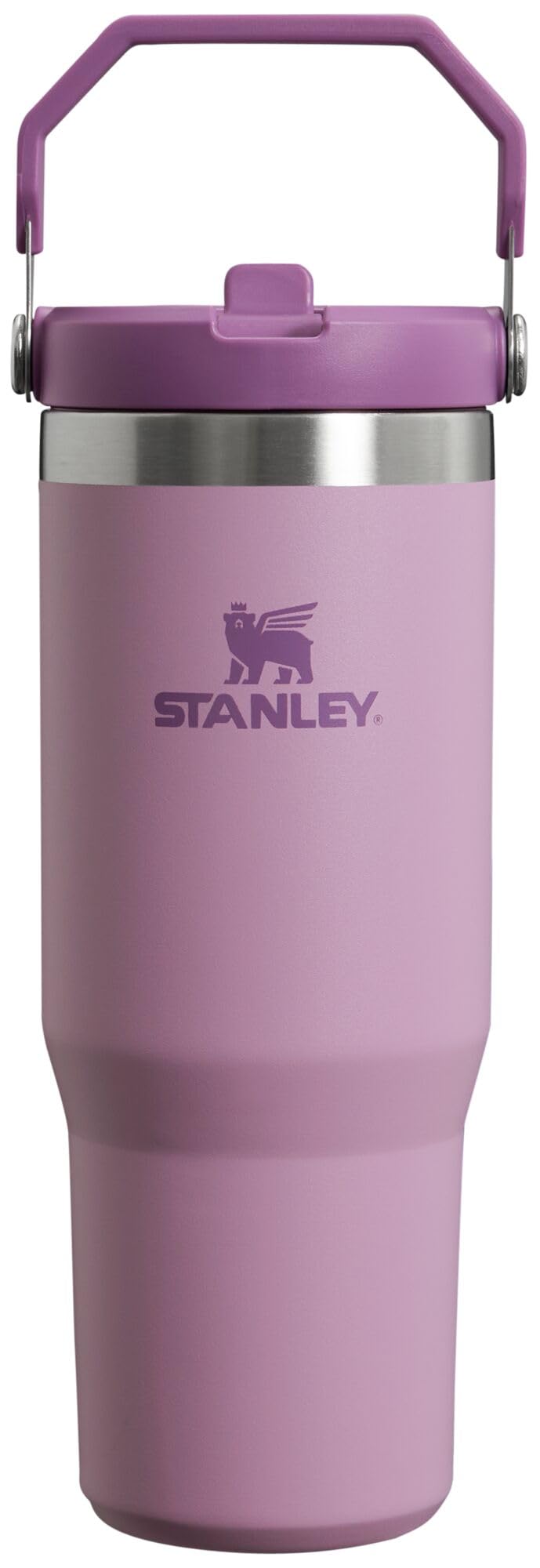 STANLEY IceFlow Stainless Steel Tumbler with Straw, Vacuum Insulated Water Bottle for Home, Office or Car, Reusable Cup with Straw Leak Resistant Flip