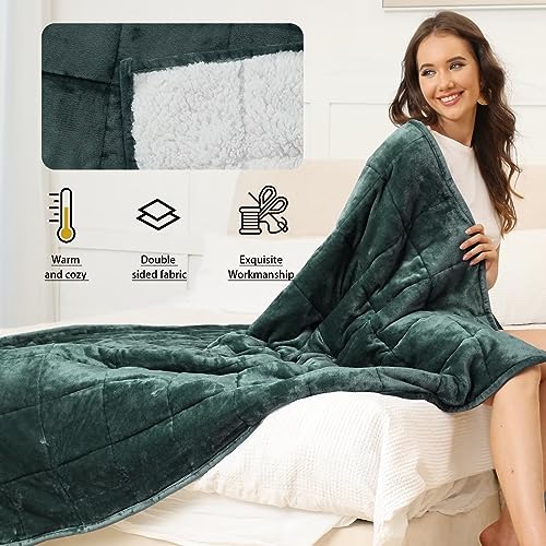 Alomidds Weighted Blanket for Adult Queen Size 20lbs 60 x 80 inches,Weighted Blankets with Soft Plush Fleece,Fluffy Thick Warm Sherpa & Cozy Flannel Heavy Blanket for Sofa Bed,Purple