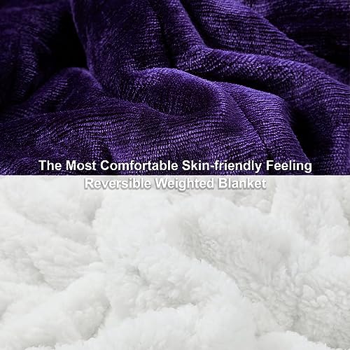 Alomidds Weighted Blanket for Adult Queen Size 20lbs 60 x 80 inches,Weighted Blankets with Soft Plush Fleece,Fluffy Thick Warm Sherpa & Cozy Flannel Heavy Blanket for Sofa Bed,Purple