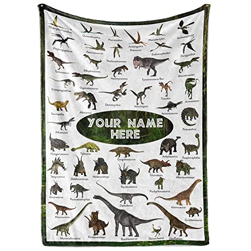 Personalized Dinosaur Blanket for Kids, Ships Next Day - Dino Throw Blanket for Boys and Girls, Toddler Bed, Room & Bedroom Decor - Educational Blankets for Children - USA Based (30x40, Fleece)