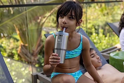 Stanley Quencher H2.0 FlowState Stainless Steel Vacuum Insulated Tumbler with Lid and Straw for Water, Iced Tea or Coffee, Smoothie and More, Lilac, 30oz