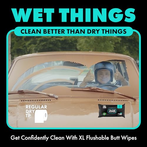 DUDE Wipes - Flushable Wipes - 6 Pack, 288 Wipes - DUMPkin Spice with Clove, Nutmeg, and Other Fall Pumpkin Spice Scents - Septic and Sewer Safe Butt Wipes For Adults, Extra Large