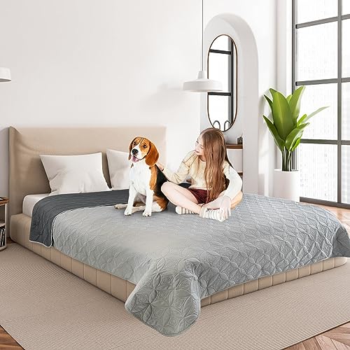 2 Packs Waterproof Dog Blankets Washable for Large Dog, Pet Couch Covers Protect Bed Sofa Furniture, Soft Reversible Dog Blankets Anti Scratches Dirty for Puppy Kids (54"×82", Light/Dark Grey)