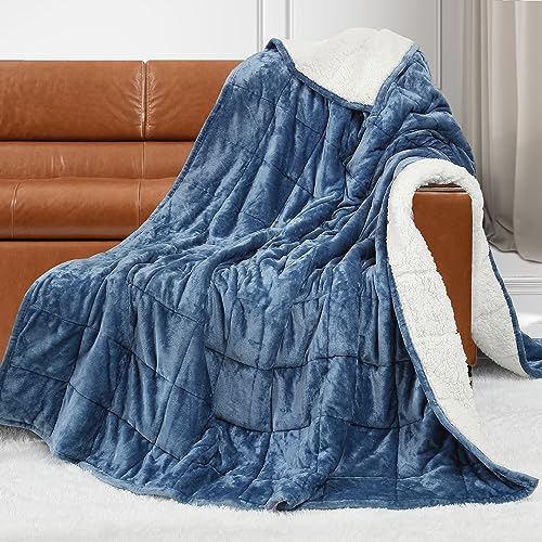 Alomidds Weighted Blanket for Adult Queen Size 20lbs 60 x 80 inches,Weighted Blankets with Soft Plush Fleece,Fluffy Thick Warm Sherpa & Cozy Flannel Heavy Blanket for Sofa Bed,Purple