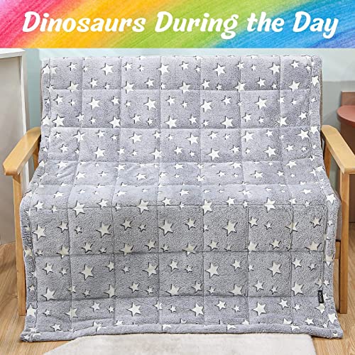 Bood Flannel Glow Weighted Blanket, Fuzzy 3lb Weighted Blanket Twin 36"x48",Fleece Weighted Blanket, Weighted Blanket, Weighted Blanket,Plush Weighted Throw Blanket,Star