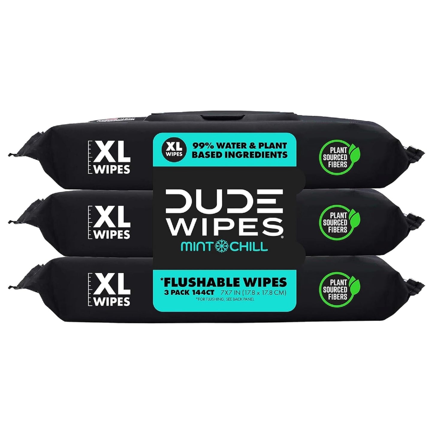 DUDE Wipes - Flushable Wipes - 6 Pack, 288 Wipes - DUMPkin Spice with Clove, Nutmeg, and Other Fall Pumpkin Spice Scents - Septic and Sewer Safe Butt Wipes For Adults, Extra Large