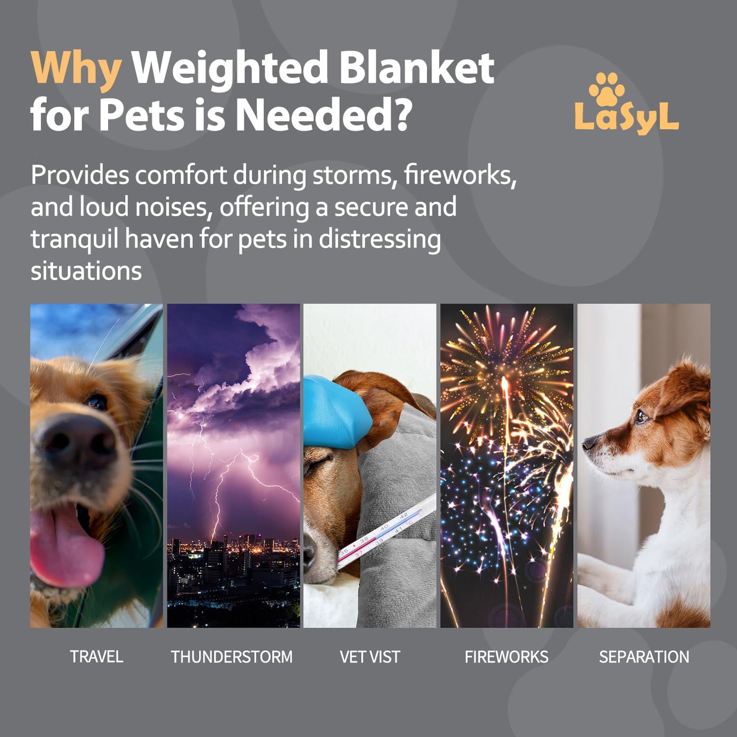 LaSyL Weighted Blanket for Pets | Thunder Blanket for Dogs Anxiety | Premium Soft Minky | Relaxation & Calming & Anti Anxiety | Blue Grey Star, Washable Large 40" L x 47" W